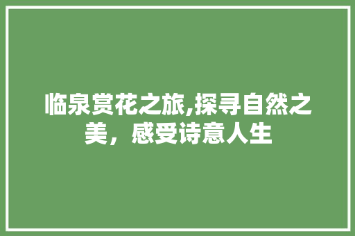 临泉赏花之旅,探寻自然之美，感受诗意人生