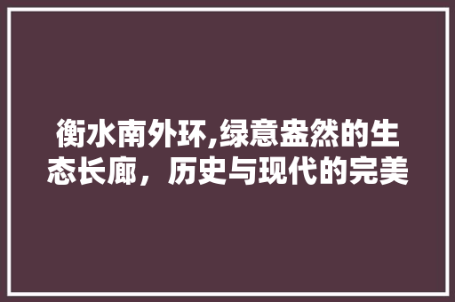 衡水南外环,绿意盎然的生态长廊，历史与现代的完美融合