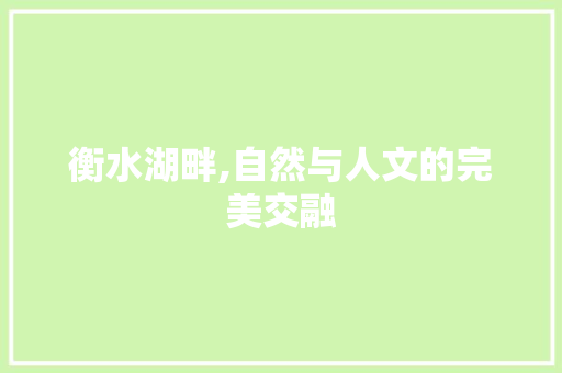 衡水湖畔,自然与人文的完美交融