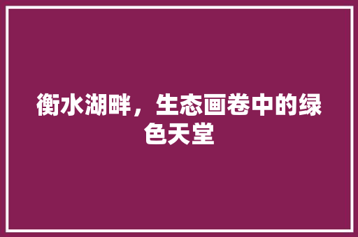 衡水湖畔，生态画卷中的绿色天堂