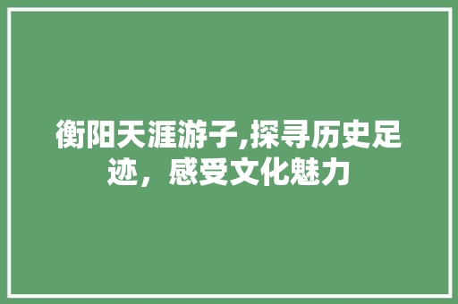 衡阳天涯游子,探寻历史足迹，感受文化魅力