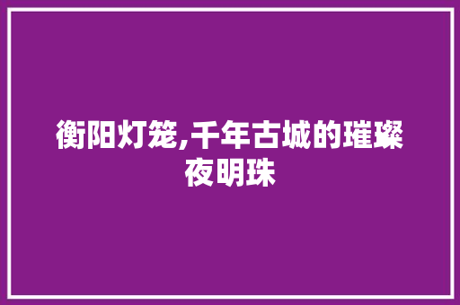 衡阳灯笼,千年古城的璀璨夜明珠