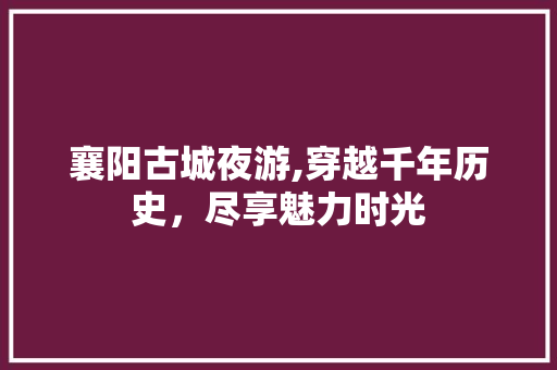 襄阳古城夜游,穿越千年历史，尽享魅力时光