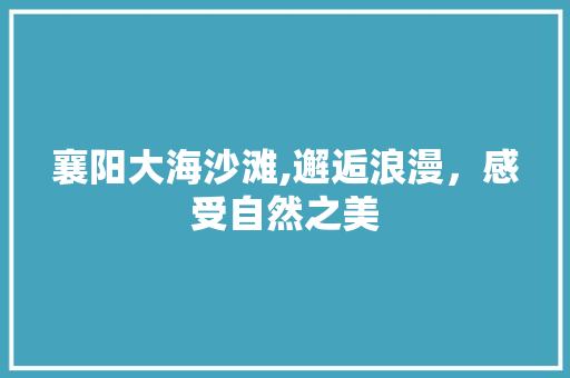 襄阳大海沙滩,邂逅浪漫，感受自然之美