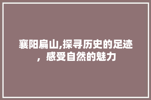 襄阳扁山,探寻历史的足迹，感受自然的魅力