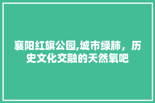 襄阳红旗公园,城市绿肺，历史文化交融的天然氧吧