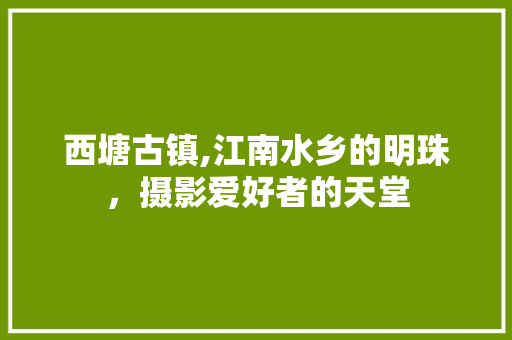 西塘古镇,江南水乡的明珠，摄影爱好者的天堂