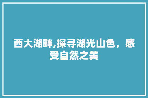 西大湖畔,探寻湖光山色，感受自然之美