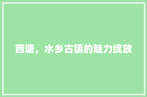 西塘，水乡古镇的魅力绽放