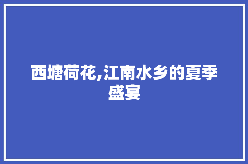 西塘荷花,江南水乡的夏季盛宴