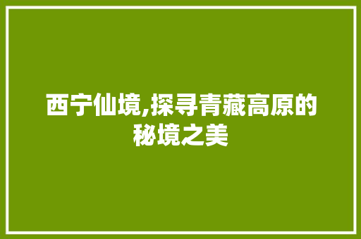 西宁仙境,探寻青藏高原的秘境之美