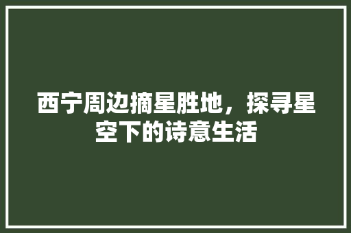 西宁周边摘星胜地，探寻星空下的诗意生活