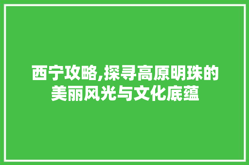 西宁攻略,探寻高原明珠的美丽风光与文化底蕴