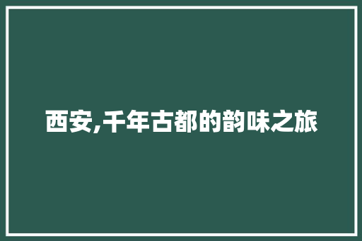 西安,千年古都的韵味之旅  第1张