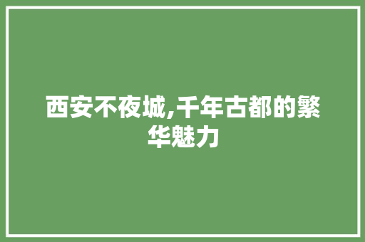 西安不夜城,千年古都的繁华魅力