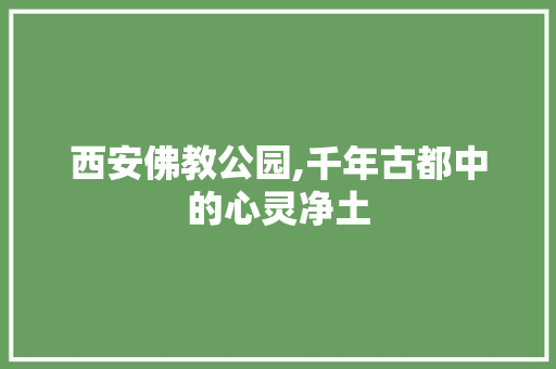 西安佛教公园,千年古都中的心灵净土