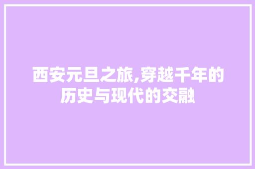 西安元旦之旅,穿越千年的历史与现代的交融