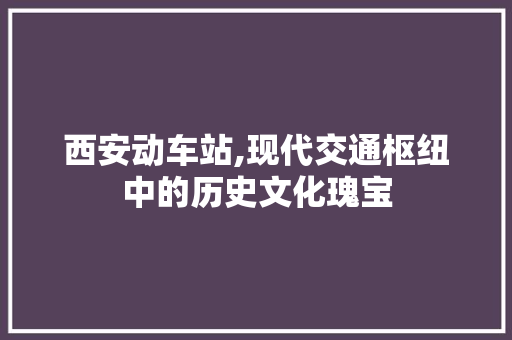 西安动车站,现代交通枢纽中的历史文化瑰宝