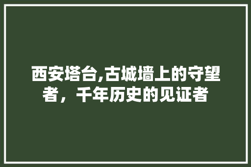 西安塔台,古城墙上的守望者，千年历史的见证者