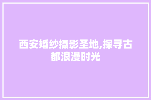 西安婚纱摄影圣地,探寻古都浪漫时光