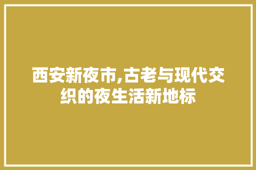 西安新夜市,古老与现代交织的夜生活新地标