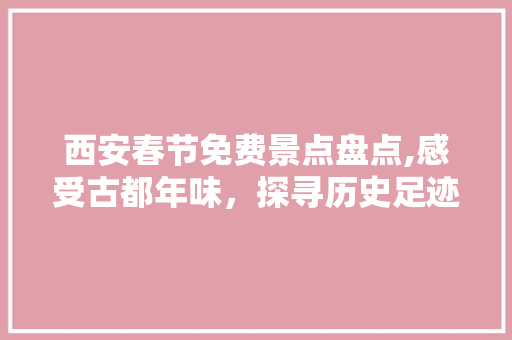 西安春节免费景点盘点,感受古都年味，探寻历史足迹