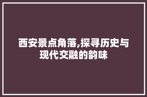 西安景点角落,探寻历史与现代交融的韵味