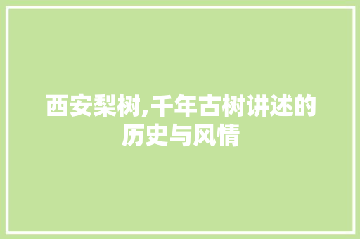 西安梨树,千年古树讲述的历史与风情