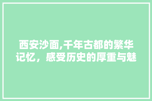 西安沙面,千年古都的繁华记忆，感受历史的厚重与魅力