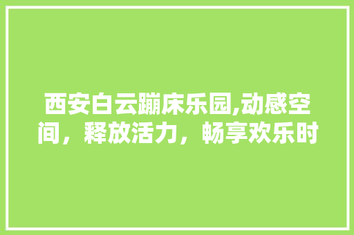 西安白云蹦床乐园,动感空间，释放活力，畅享欢乐时光