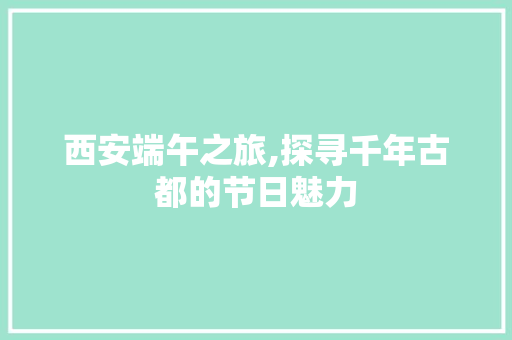 西安端午之旅,探寻千年古都的节日魅力  第1张