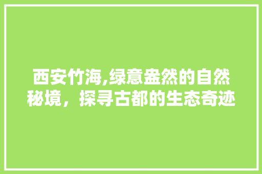 西安竹海,绿意盎然的自然秘境，探寻古都的生态奇迹