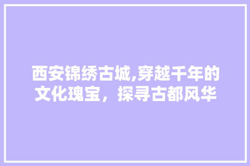 西安锦绣古城,穿越千年的文化瑰宝，探寻古都风华