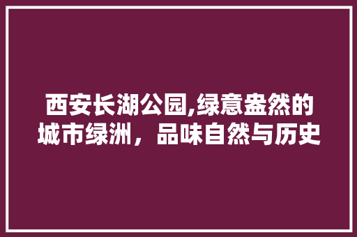 西安长湖公园,绿意盎然的城市绿洲，品味自然与历史的交融