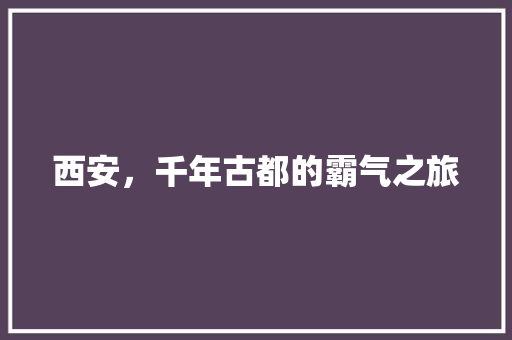 西安，千年古都的霸气之旅