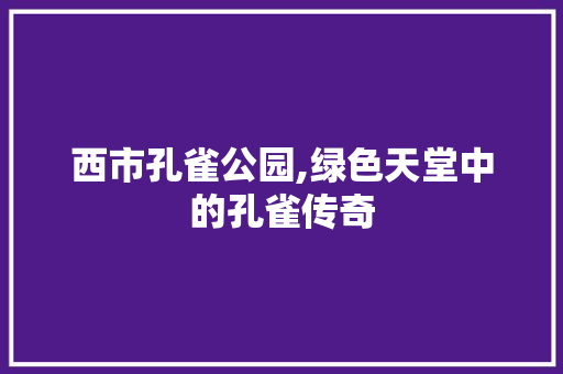 西市孔雀公园,绿色天堂中的孔雀传奇