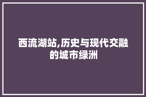 西流湖站,历史与现代交融的城市绿洲