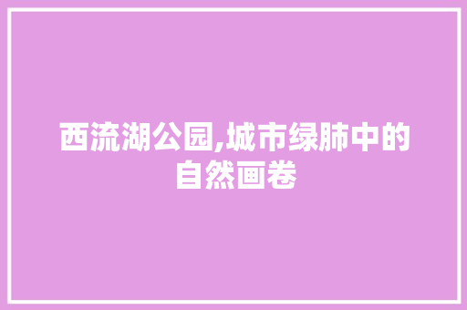 西流湖公园,城市绿肺中的自然画卷