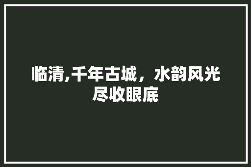 临清,千年古城，水韵风光尽收眼底