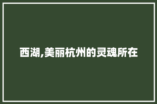 西湖,美丽杭州的灵魂所在