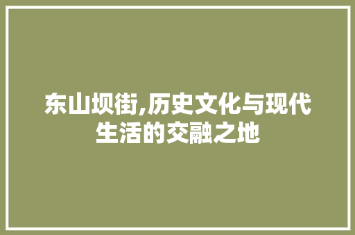 东山坝街,历史文化与现代生活的交融之地