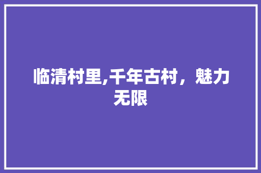 临清村里,千年古村，魅力无限