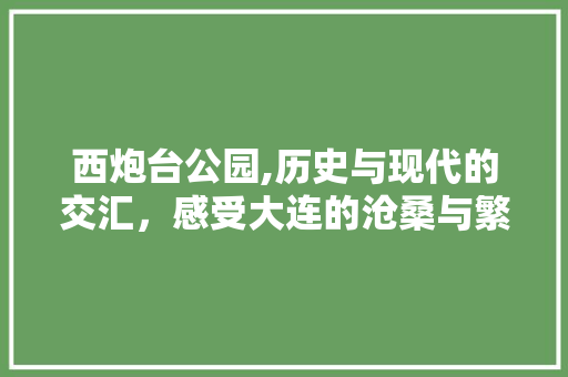 西炮台公园,历史与现代的交汇，感受大连的沧桑与繁荣