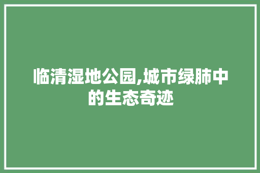 临清湿地公园,城市绿肺中的生态奇迹