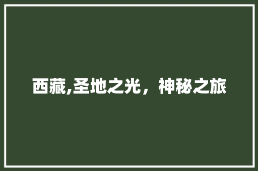 西藏,圣地之光，神秘之旅