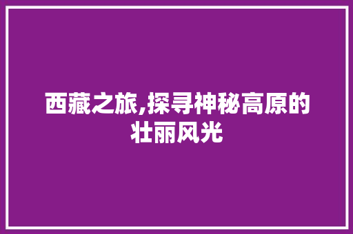 西藏之旅,探寻神秘高原的壮丽风光