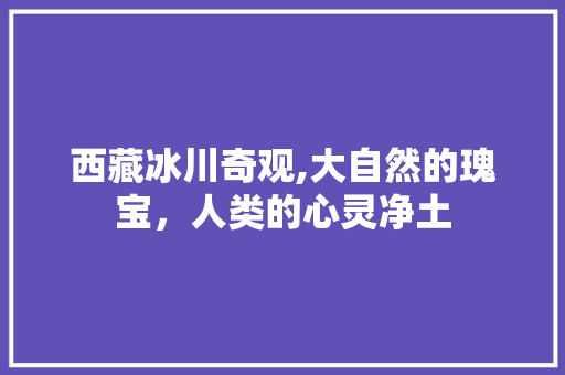 西藏冰川奇观,大自然的瑰宝，人类的心灵净土