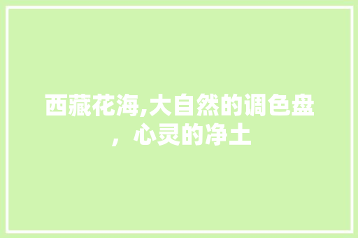 西藏花海,大自然的调色盘，心灵的净土