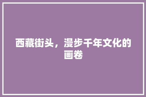 西藏街头，漫步千年文化的画卷