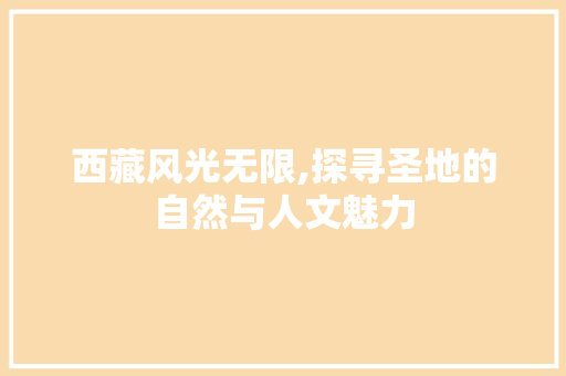 西藏风光无限,探寻圣地的自然与人文魅力